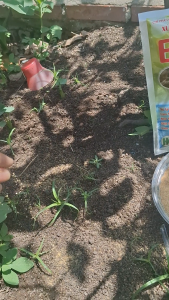 MEN Ủ RÁC NHÀ BẾP XỬ LÝ MÙI E.M - HK XỬ LÝ CHẤT THẢI HỮU CƠ. GÓI 200 G