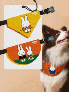 LEXI | Cute Cartoon Pet Bib