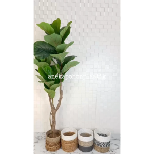 Pohon Hias Artificial Tanaman Daun Ketapang X3 T150 Cover Pot Seagrass Variasi Warna Hiasan Dekorasi Sudut Ruangan Aesthetic
