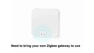 Smart Zigbee COB Neon LED Strip Light DC24 Pure Silicone Tube IP65 Waterproof Work With Zigbee Hub Gateway Alexa Google Home