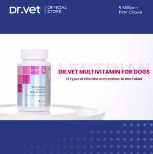 DR. VET Multivitamin for Dogs with Lentinan (200 Tablets)