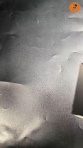 Sensor TPS Xmax 250 300 R25 MT25 B74 B5X PROPER Racing Line