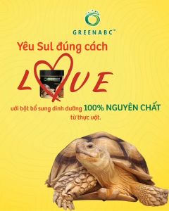 Thức ăn bò sát Rùa Cạn GREENABC - Tortoise – Sulcata – Sản phẩm từ thực vật cung cấp dưỡng chất giúp mai cứng tăng đề kháng hạn chế urat – Hộp 230g