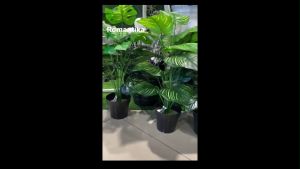 ROMANTIKA Artificial 65CM POTTED PLANT Natural Look Fake Plants Monstera Green Home Decoration Leaves
