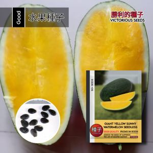 1 Pack (50 Butir) Benih Semangka Raksasa Sunny Non Biji Original Import / Benih semangka kuning