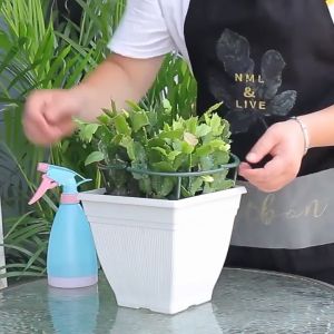 【Local Warehouse】4Pcs Plastic Garden Pot Support Ring for Peony Tomato Hydrangea Indoor Plants Plant Support Flower Plant Climbing Stakes Garden Plant Support Garden Plant Climbing Trellis Plant Flower Vine Climbing Support Arcuated Supports Stakes Suitab