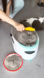 Pet Hair Comb Brush Easy Fur Shedding Not Hurt Skin One Button Self Cleaning Cat Dog Grooming Tool