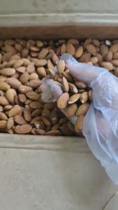 Hạnh Nhân Rang Hút Chân Không 500gram - Mỹ