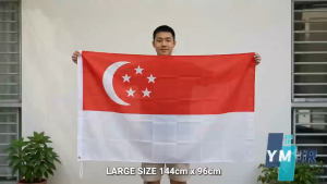 🚩【144*96cm】Singapore Flag National Day Party Decoration Big Flag Singapore Hand Flag NDP Festival Supplies