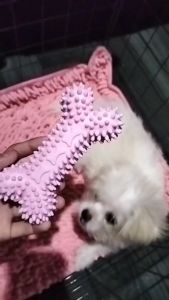 PET TPR TOYS Pet Dog Toy Pet Accessories Essential Bite Resistant Teeth Grinding Easy to Clean