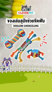 Doglemi ของเล่นสุนัข เชือกกัด เชือกขัดฟัน ของเล่นสุนัขทนทาน Dog Toy CleverPet