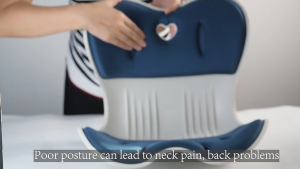 NGTStyle Ergonomic Waist Support Cushion Anti-Fatigue Sit Posture Correction Waist Back Support School Office Seat Cushion and Back Support