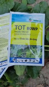 [Freeship Max] Thuốc diệt cỏ TOT 80WP trừ cỏ chác lác cỏ lá rộng an toàn cho lúa gói 25gram_VTNN TIEN KHOA