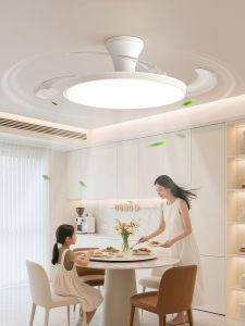 Smile | Slim Ceiling Fan Light Home Bedroom Use
