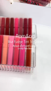 Son kem mịn lì lên màu hiệu ứng mờ đẹp Roman Blur Fudge Tint 5g - Hàn Quốc