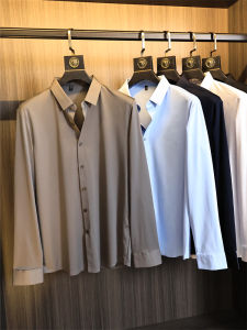 High-End Travel Series Anti-Wrinkle Long Sleeve Mens Shirt: Pure Color Fashionable Collared Business Casual Standard Fit