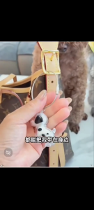 Transparent Puppy/Kitten Hair Keepsake Pendant - Keychain Bag Hanging Decor Capsule for Collection & Commemorative Use