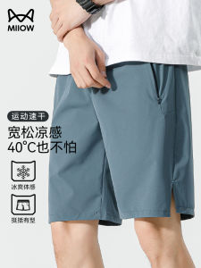 Cat Man Cool Sensation Ice Silk Shorts Mens Summer Thin Breathable Trendy Outdoor Sports Loose Casual Pants
