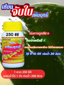 เซียนจับใบเพิ่มฤทธิ์ขนาด 250 ซีซี 1 ขวด ช่วยเร่งการดูดซึม แทรกซึมไว กระจายตัวดี จับติดทั่วทั้งใบ ทนทานต่อการชะล้าง ไม่ทำลายนวน