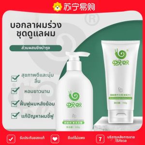 Pure Ginger Shampoo Set Control Oil Dandruff Removal Softening Hair Nourishing Hair Care 1441B ชุดampoo ดandruff ควบคุมน้ำมัน บำรุงผม ชุด 1441B