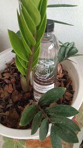 น้ำขี้เถ้าถ่านสกัดบริสุทธิ์ สะอาด ช่วยปรับสภาพของดิน ช่วยให้พืชเจริญเติบโต ปลอดภัย 100%  ขนาด 500 ML.