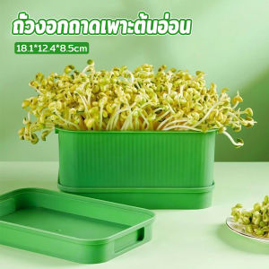 J.D. กล่องเพาะถั่วงอก ถาดเพาะต้นอ่อน  ไม่ต้องใช้ดิน นำกลับมาใช้ใหม่ได้ 1ชุด bean sprouts tray