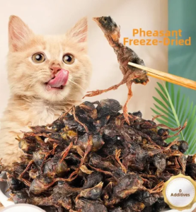 ZHUCHONG | Nutritious & Tasty Raw Bone Freeze-Dried Food
