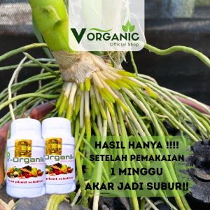 Pupuk anggrek Pupuk tanaman hias perangsang akar dan bunga Tanaman Hias