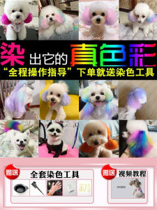 Aibei Mei Yi Pet Hair Dye White Color Cream for Dogs Cats Bichon Teddy Pomeranian Animal Professional Pet Grooming Supplies