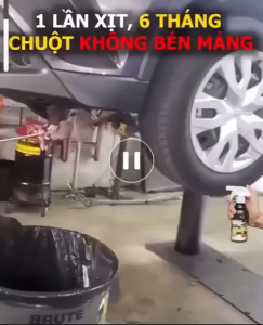 Chai Xịt Đuổi Chuột RAT REPELLENT SPRAY 500 ML - Hương Quế An toàn Xua Đuổi Chuột Gián Côn Trùng
