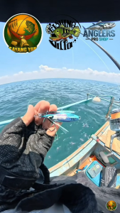 FVT Fishing Villa Team CHASE LIGHTGAME Spinning Fishing Rod - High Quality and Affordable Fishing Rods