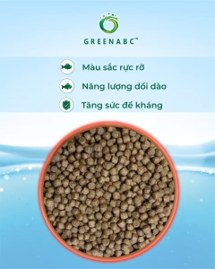 Thức ăn Cá Hồng Két GREENABC – Protein 40 tăng kích thước lên màu đẹp – Hộp 350g