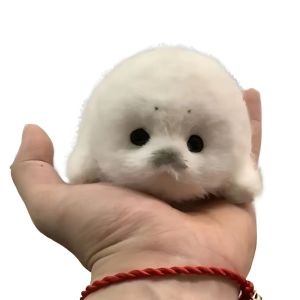 Cute Soft Seal Plush Keychain Kawaii Seal Plushies Animal Pendant Fashion Stuffed Doll Keyring Backpack Accessories Car Ornament
