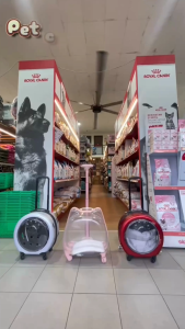 Beg Pengangkut Kucing / Troli + Tali / Pet Carrier Luggage / Cat Transparent Trolley / Bag + Strap