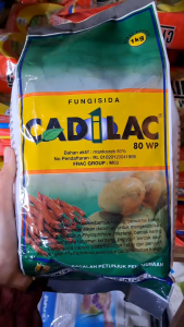 CADILAC 80 WP 1 KG FUNGISIDA PENGENDALI PENYAKIT // KADILAK