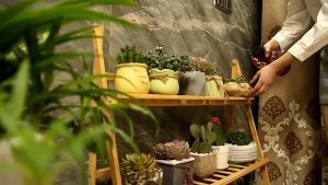 LACCOHUG Bamboo Flower Stand 3/4 Layers 50/70/100CM Plant Rak Outdoor Rak Bunga Yang Murah