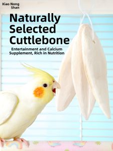 XIAONONGSHAN | Parrot Calcium Supplement Teeth Grinding Toy
