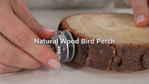 Parrot Pet Bird Cage Chew Toy Natural Wood Stand Platform for Parakeet Cockatiel Parrot Wood Round Stand Wooden