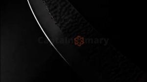 Japanese Famous Kitchen Chef Knife 4cr13 Stainless Steel 15 ° V -Type Open Knifee