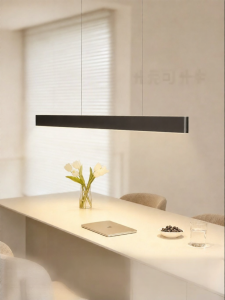 JIANDUN | 4th Generation PRO Adjustable Ceiling Lamp