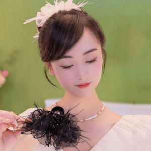 Mesh Feather Hair Clip: A Stylish & Elegant Accessory