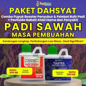Pupuk Topfarm & Obat Hama: Cara Meningkatkan Produksi Padi