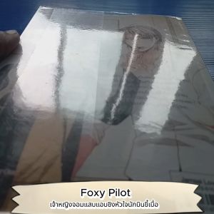 Foxy Pilot เจ้าหญิงจอมแสบแอบชิงหัวใจนักบินขี้เบื่อ  ผู้เขียน เจ้าหญิงผู้เลอโฉม