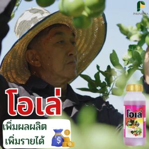 ดินเน่า3ขวด+โอเล่ 2 ขวด ครบเรื่องดินและธาตุอาหารรอง ส่งไว ล็อตใหม่