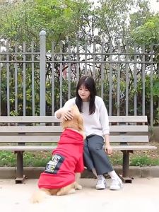 Áo hoodie nỉ bông cho chó to lớn và vừa in họa tiết Hipidog - Đen Ta pet shop