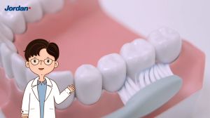 แพ็ค2ชิ้น [คละสี] Jordan แปรงสีฟันจอร์แดน Click Gum Protector Super Soft