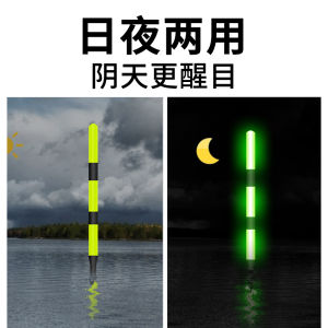 Có Thể Thay Đổi Màu Sắc Cảm Biến Nhạy Cao Đèn LED Đồ Câu Cá Dây Đeo Dày Nổi Bật Đồ Câu Đêm Cảm Biến Nhạy Cao Đồ Câu