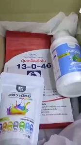 เซตข้าวระยะตั้งท้อง 3 สูตร ลดอาการบ้าใบ ใช้เป็นลม บำรุงท้องข้าว กระตุ้นการออกรวง