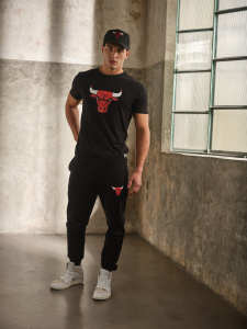 Official NBA Chicago Bulls T-Shirt for Men Core Collection [C]
