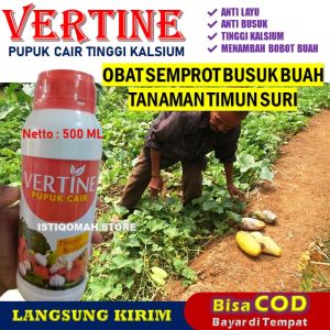Pupuk Cair Anti Busuk Buah Timun Suri VERTINE CALS 500ML Obat Semprot Busuk Buah Tanaman Timun Suri